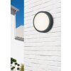 Applique murale Trio BREG LED Anthracite, 1 lumière