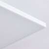 Plafonnier Bankura LED Blanc, 1 lumière, Télécommandes