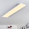 Plafonnier Bankura LED Blanc, 1 lumière, Télécommandes