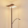 Lampadaire Lasona LED Brun, Argenté, 2 lumières