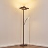 Lampadaire Lasona LED Brun, Argenté, 2 lumières