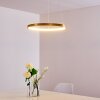 Suspension Canisteo LED Or, 1 lumière