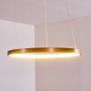 Suspension Canisteo LED Or, 1 lumière