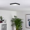 Plafonnier Kragos LED Noir, Blanc, 1 lumière