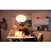 Suspension Philips Hue Ambiance White & Color Flourish LED Blanc, 1 lumière, Changeur de couleurs