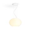 Suspension Philips Hue Ambiance White & Color Flourish LED Blanc, 1 lumière, Changeur de couleurs