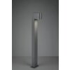 Borne lumineuse Trio Roya Anthracite, 1 lumière