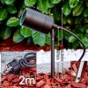 pique de terre Froslev LED Noir, 1 lumière
