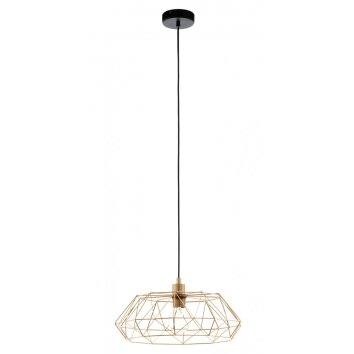 Lampe suspendue Eglo CARLTON 2 Cuivre, Noir, 1 lumière
