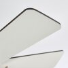Ventilateur de plafond Ellmau Chrome, Gris, Blanc, 1 lumière