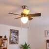 Ventilateur de plafond Ellmau Chrome, Gris, Blanc, 1 lumière