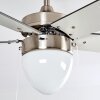 Ventilateur de plafond Ellmau Chrome, Gris, Blanc, 1 lumière