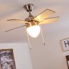 Ventilateur de plafond Ellmau Chrome, Gris, Blanc, 1 lumière