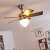 Ventilateur de plafond Ellmau Chrome, Gris, Blanc, 1 lumière