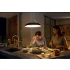 Suspension Philips Hue Ambiance White Amaze LED Noir, 1 lumière, Télécommandes