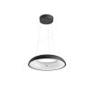 Suspension Philips Hue Ambiance White Amaze LED Noir, 1 lumière, Télécommandes