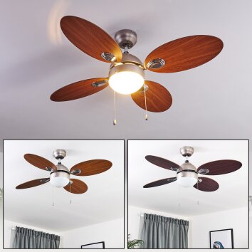 Ventilateur de plafond Nicosia Bois foncé, Nickel mat, 1 lumière