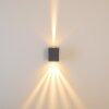 Applique murale d'extérieur Orsa LED Gris, 2 lumières