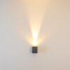 Applique murale d'extérieur Orsa LED Gris, 2 lumières
