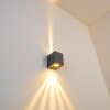 Applique murale d'extérieur Orsa LED Gris, 2 lumières