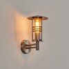 Applique extérieure Forli Acier inoxydable, Transparent, 1 lumière