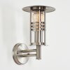 Applique extérieure Forli Acier inoxydable, Transparent, 1 lumière