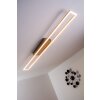 Plafonnier LED Paul Neuhaus Acier brossé, 4 lumières