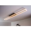 Plafonnier LED Paul Neuhaus Acier brossé, 4 lumières