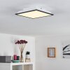 Plafonnier Salmi LED Noir, Blanc, 1 lumière