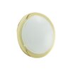Applique murale / Plafonnier Eglo PLANET 1 Laiton