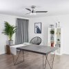 Ventilateur de plafond Vevey Bois clair, Nickel mat, Argenté, 2 lumières, Télécommandes
