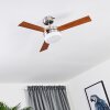 Ventilateur de plafond Vevey Bois clair, Nickel mat, Argenté, 2 lumières, Télécommandes