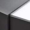 Applique murale d'extérieur Hjortspring LED Anthracite, 1 lumière
