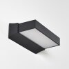 Applique murale d'extérieur Hjortspring LED Anthracite, 1 lumière