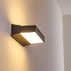 Applique murale d'extérieur Hjortspring LED Anthracite, 1 lumière