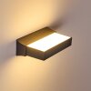 Applique murale d'extérieur Hjortspring LED Anthracite, 1 lumière