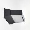 Applique murale d'extérieur Hjortspring LED Anthracite, 1 lumière
