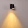 Applique murale d'extérieur Froslev LED Noir, 1 lumière