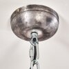Suspension Ilvy Gris, Argenté, 1 lumière