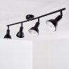Plafonnier Polmak Noir doré, 4 lumières