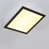 Plafonnier Essaouira LED Noir, 1 lumière, Télécommandes