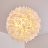 Suspension Murten Blanc, 1 lumière