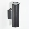 Applique murale d'extérieur Brachy LED Anthracite, 2 lumières