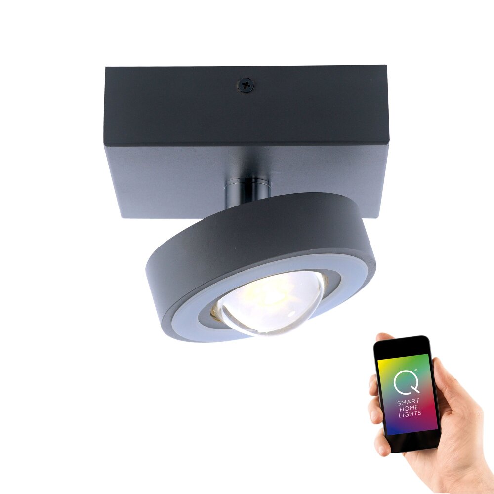 Plafonnier Paul Neuhaus Q-MIA LED Anthracite, 1 lumière, Télécommandes main product photo