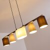 Suspension Aucilla Noir, 5 lumières