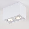 Plafonnier Betsie Blanc, 2 lumières