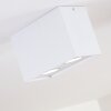 Plafonnier Betsie Blanc, 2 lumières