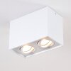 Plafonnier Betsie Blanc, 2 lumières