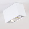Plafonnier Betsie Blanc, 2 lumières