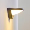 Applique murale d'extérieur Carano LED Noir, 1 lumière, Détecteur de mouvement